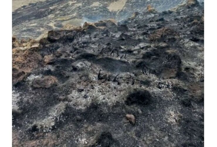آتش سوزی مشترک ، خاکستر سقف ایران