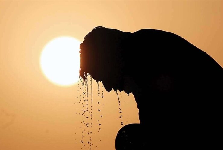 تغذیه صحیح مانعی برای آسیب ماوراء بنفش است