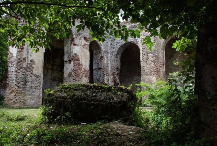 تصاویر یک داستان ساکت در قلب جنگل ها