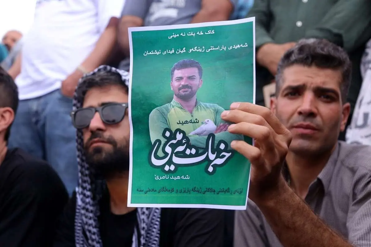 تصاویر