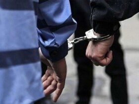 دستگیری 2 میلیارد دلار از دلار در کرمان