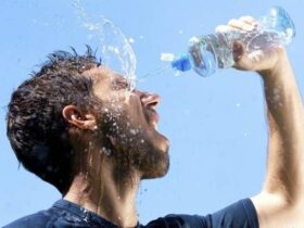راه حل هایی برای جلوگیری از تنظیم گرما و دمای بدن در هوای گرم