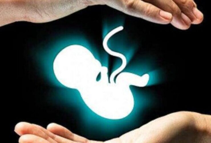 تیم نظارت وزارت بهداشت به داستان از دست دادن جنین های یخ زده در بیمارستان ابان می آید