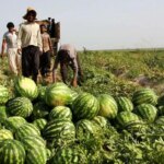 کم آبی بدن انجام نشد