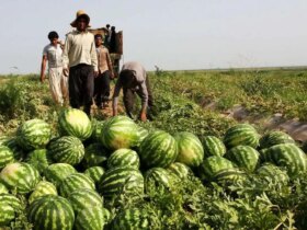 کم آبی بدن انجام نشد