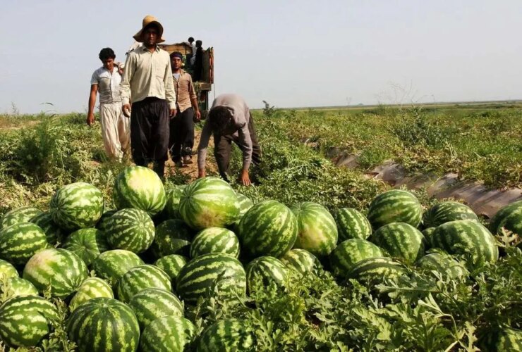 کم آبی بدن انجام نشد