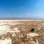 2 میلیون هکتار پودر در ایران