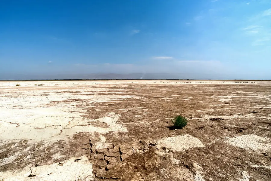 2 میلیون هکتار پودر در ایران