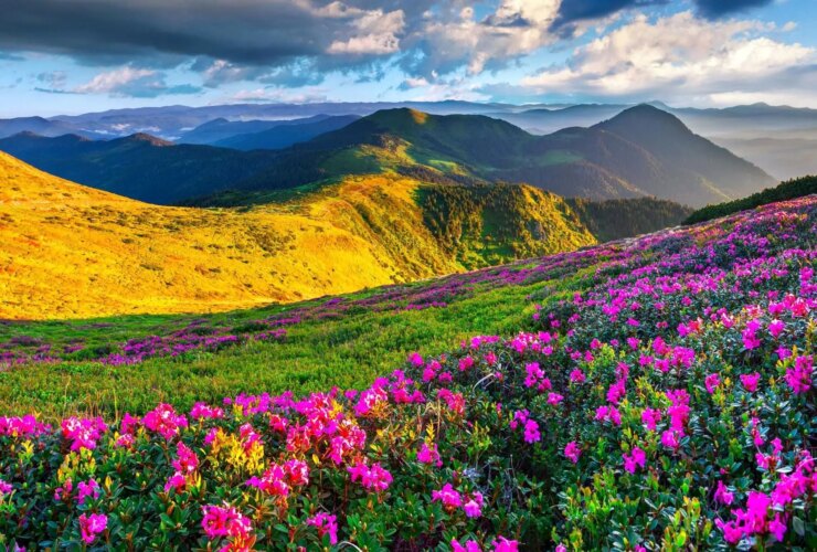 Tabal - دوشنبه ، 30 ژوئیه 2008 ؛ به تجارت خود بروید ، واعظ ، او چه فریاد می زند ...