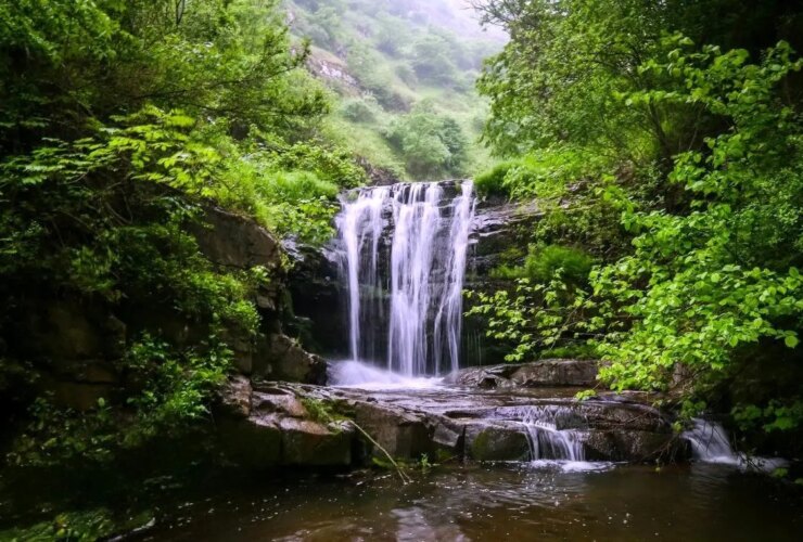 Tabal پنجشنبه ، 2 اوت ؛ دوش تبلیغاتی به مسافر داد ...