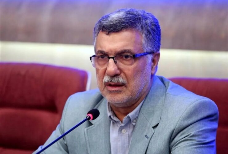 Zaqqiqi بر سازماندهی نیروهای داوطلبانه در این بحران تأکید می کند
