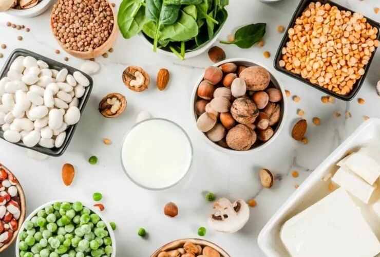 ours منبع پروتئین گیاهی عالی