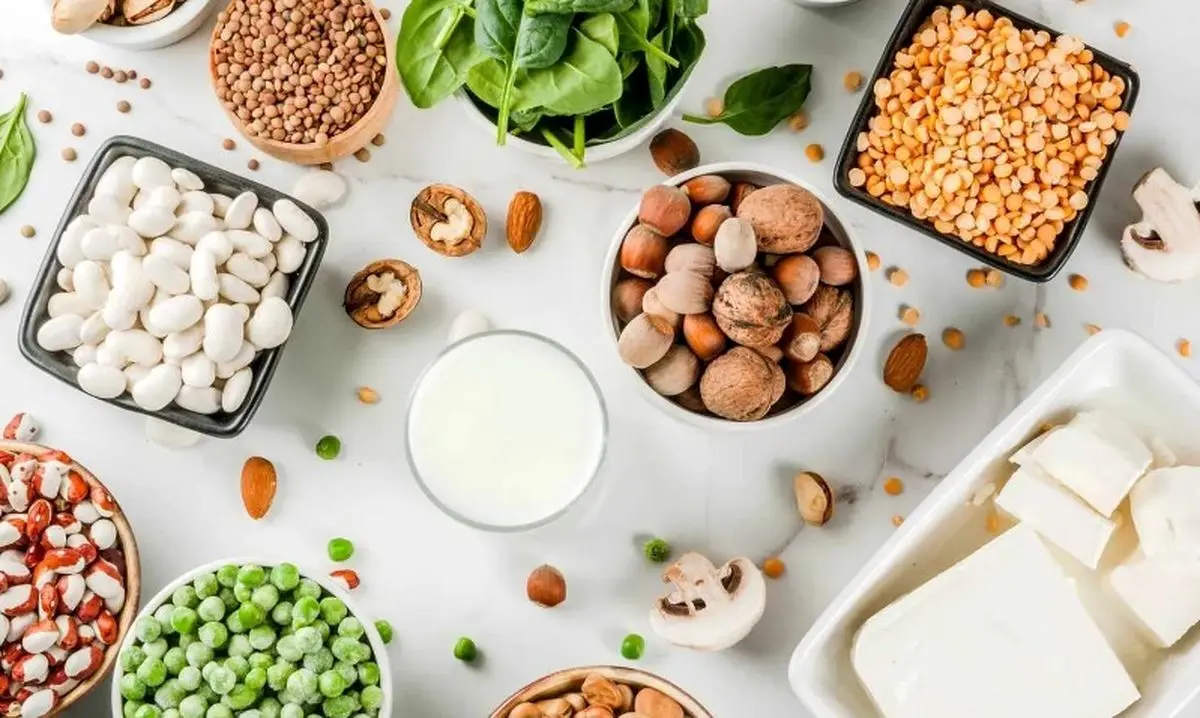 ours منبع پروتئین گیاهی عالی