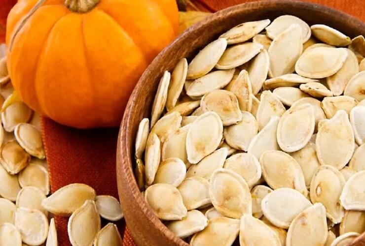 آیا تخم مرغ کدو تنبل عضله می کند؟