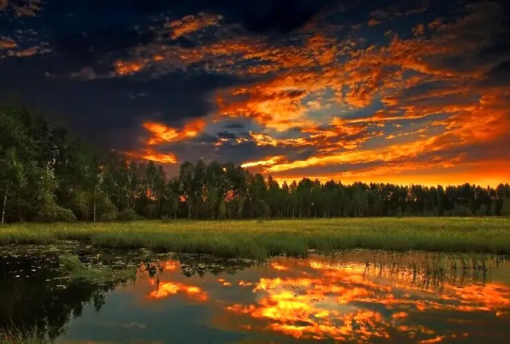 از Tafal تا Hafiz چهارشنبه ، 25 ژوئیه 2008 ؛