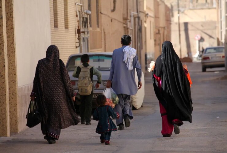 اولین آمار رسمی ترک غیرقانونی ایران