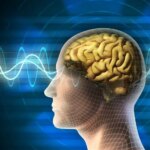 این ترکیب تغذیه مغز را تقویت می کند