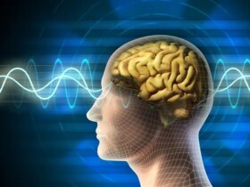 این ترکیب تغذیه مغز را تقویت می کند