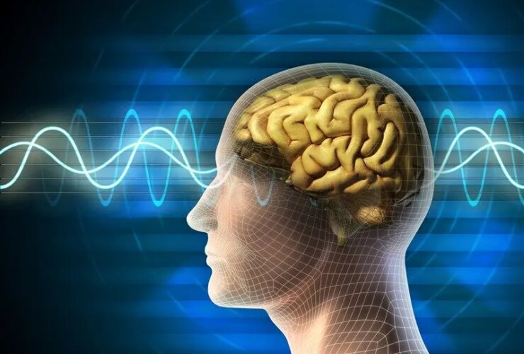 این ترکیب تغذیه مغز را تقویت می کند