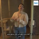 برای دیدن هتل پنج ستاره برای گربه ها
