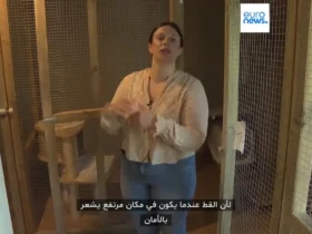 برای دیدن هتل پنج ستاره برای گربه ها