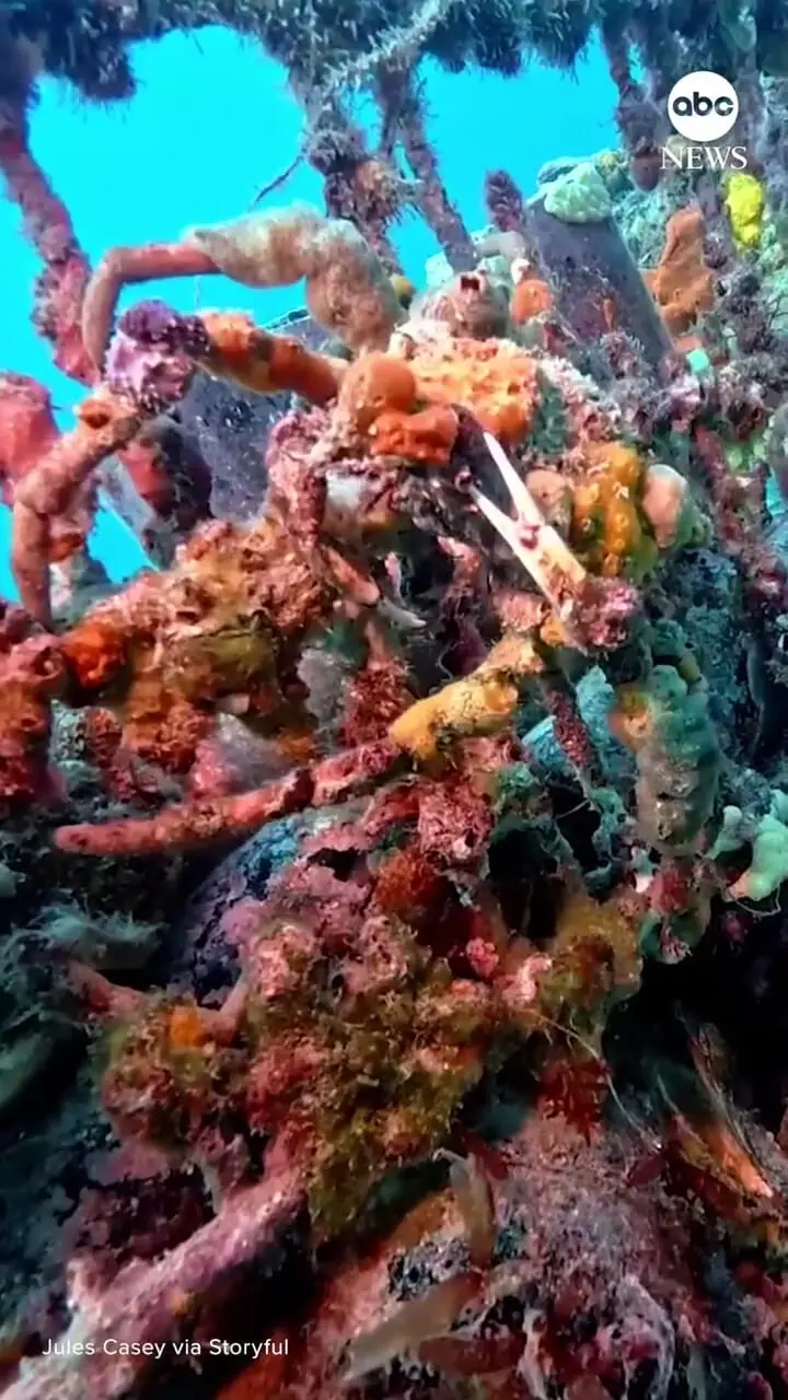 برای دیدن کمک به فرو رفتن به سرطان