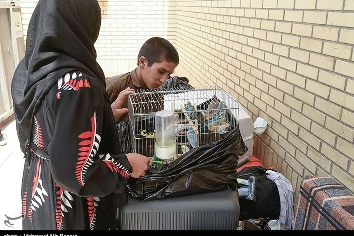 تصاویر جدا کردن شهروندان افغان از زاهدان 4 تصاویر جدا کردن شهروندان افغان از زاهدان