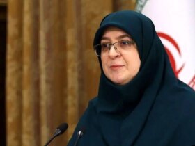 سخنگوی دولت ، واکنش این لایحه به منتقدین "فضای سایبر با انتشار محتوای انتشار"