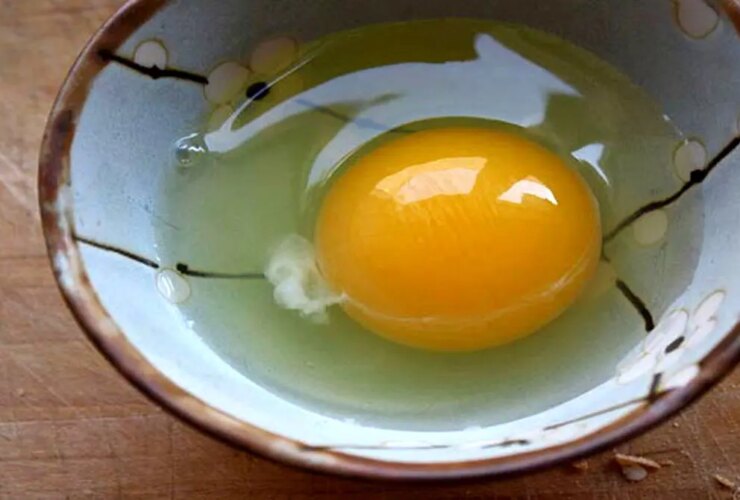 علائم تخم مرغ پوسیده را بدانید 27 علائم تخم مرغ پوسیده را بدانید