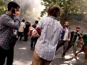 ما مانند یک فرمان جدید مانند دختران ساخته شده از سیب از آنها به نظر می رسیم
