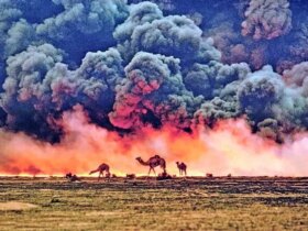 محیط زیست ؛ قربانی جنگ آرام