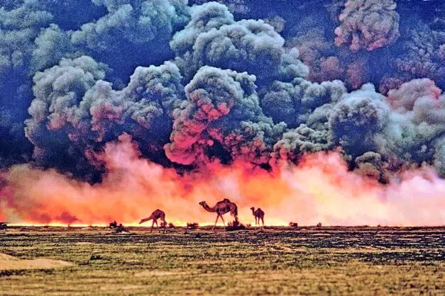 محیط زیست ؛ قربانی جنگ آرام