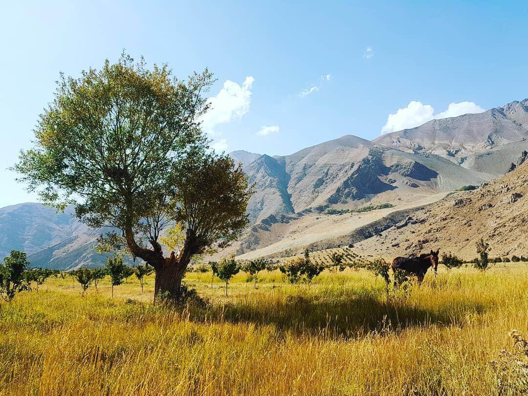 ماجراجویی تابستانی در سرمایه/ ارتقاء ؛ هدف بی نظیر در اطراف تهران 12 ماجراجویی تابستانی در سرمایه/ ارتقاء ؛ هدف بی نظیر در اطراف تهران