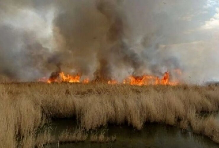 منشأ آلودگی هوا یافت شد