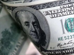 امروز قیمت دلار ، 14 اوت 1404