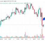 Bitcoin Falls -freed