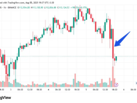 Bitcoin Falls -freed