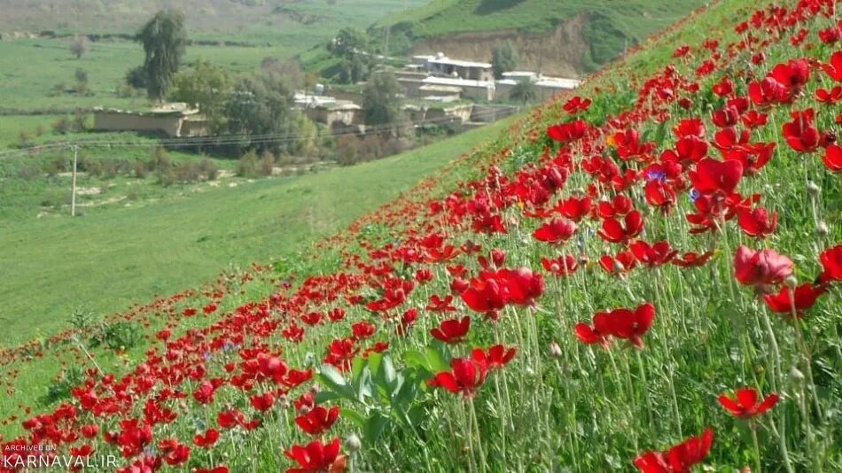 مکانی جذاب برای سفر تابستانی/ از دره ای از بهشت تا لیلی.