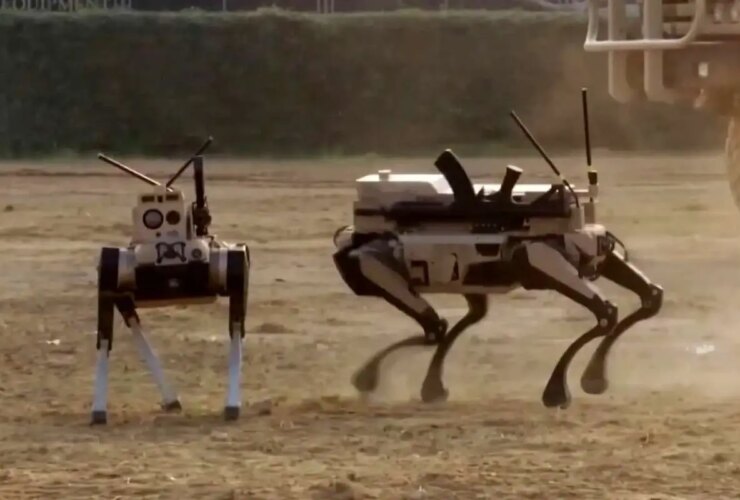 برای دیدن ظهور گرگهای مسلح چین