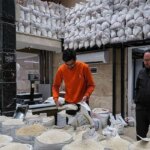 قیمت برنج هاشمی به 400000 TANCESA رسید