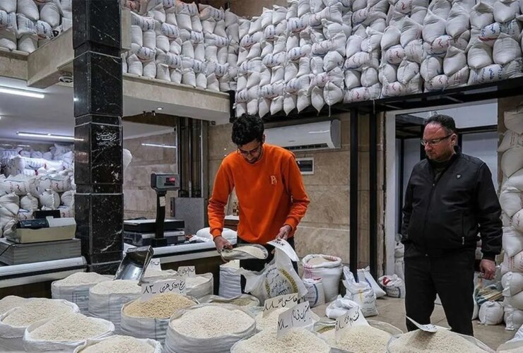 قیمت برنج هاشمی به 400000 TANCESA رسید
