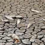 تصاویر دریاچه پری به یک بیابان ترکیه تبدیل شد