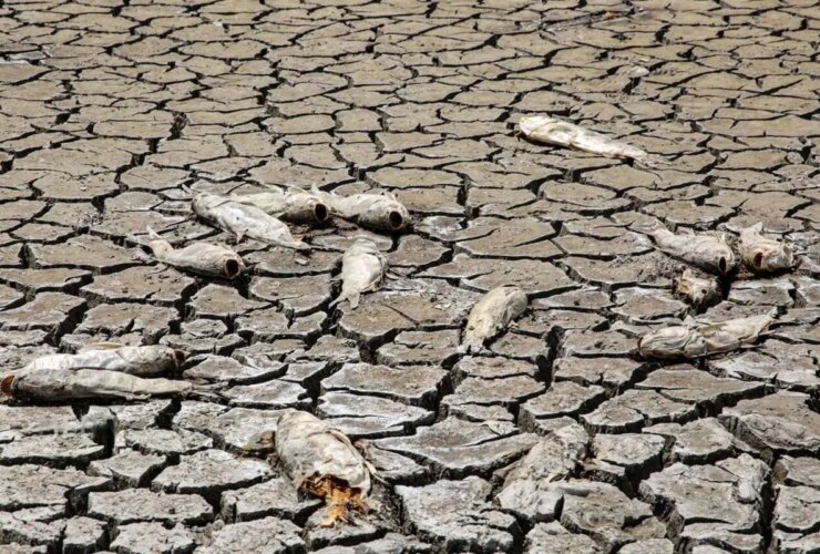 تصاویر دریاچه پری به یک بیابان ترکیه تبدیل شد 26 تصاویر دریاچه پری به یک بیابان ترکیه تبدیل شد