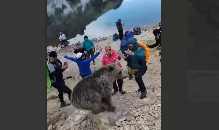 سبلا