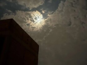 سکوت جهانی در عراق