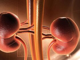 پیوند کلیه ؛ ترکیبی از علم و خود