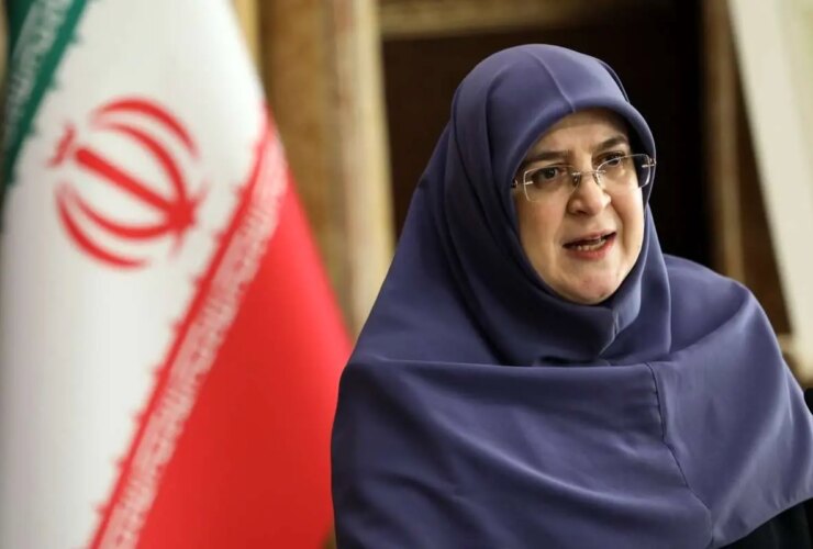 سفر مهاجران به ایلام برای کنترل ترافیک زائران اربین