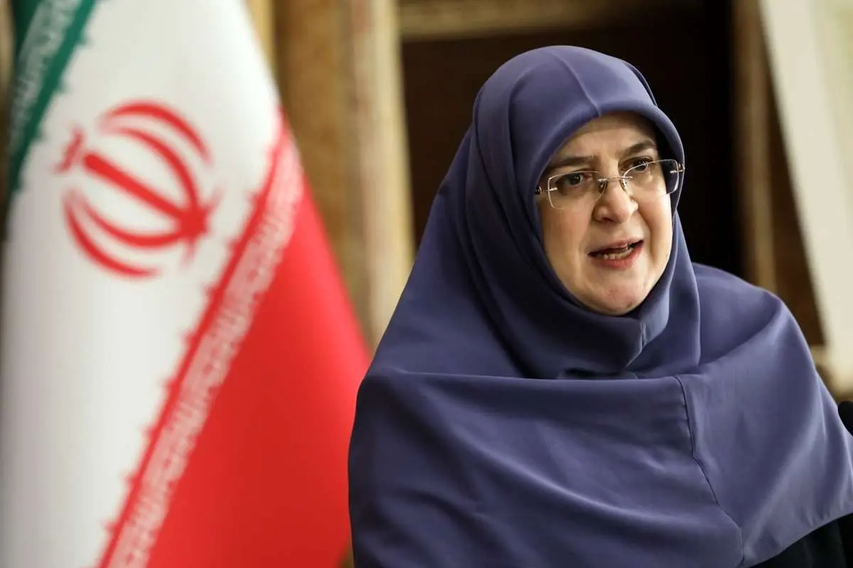 سفر مهاجران به ایلام برای کنترل ترافیک زائران اربین