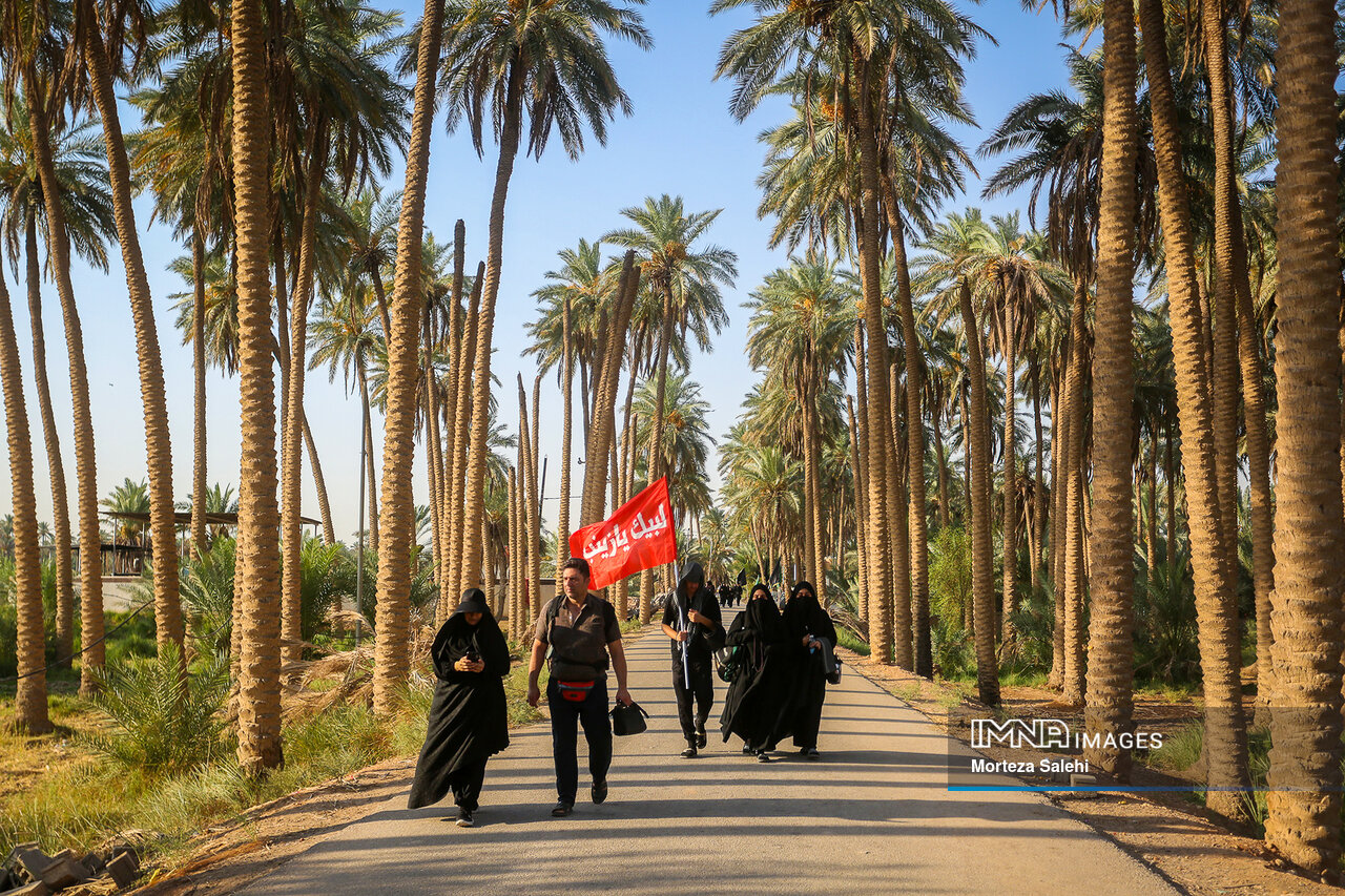 نسخه طبیعت برای ترمیم بدن و زندگی پس از راهپیمایی اربین