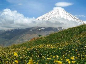 بارش برف تابستانی در این نقطه از کشور + پنجشنبه ، 6 اوت / فیلم